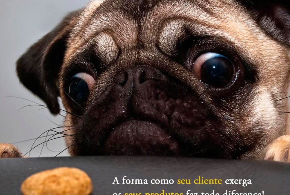 Descubra como aumentar suas vendas em 200% com Inbound Marketing